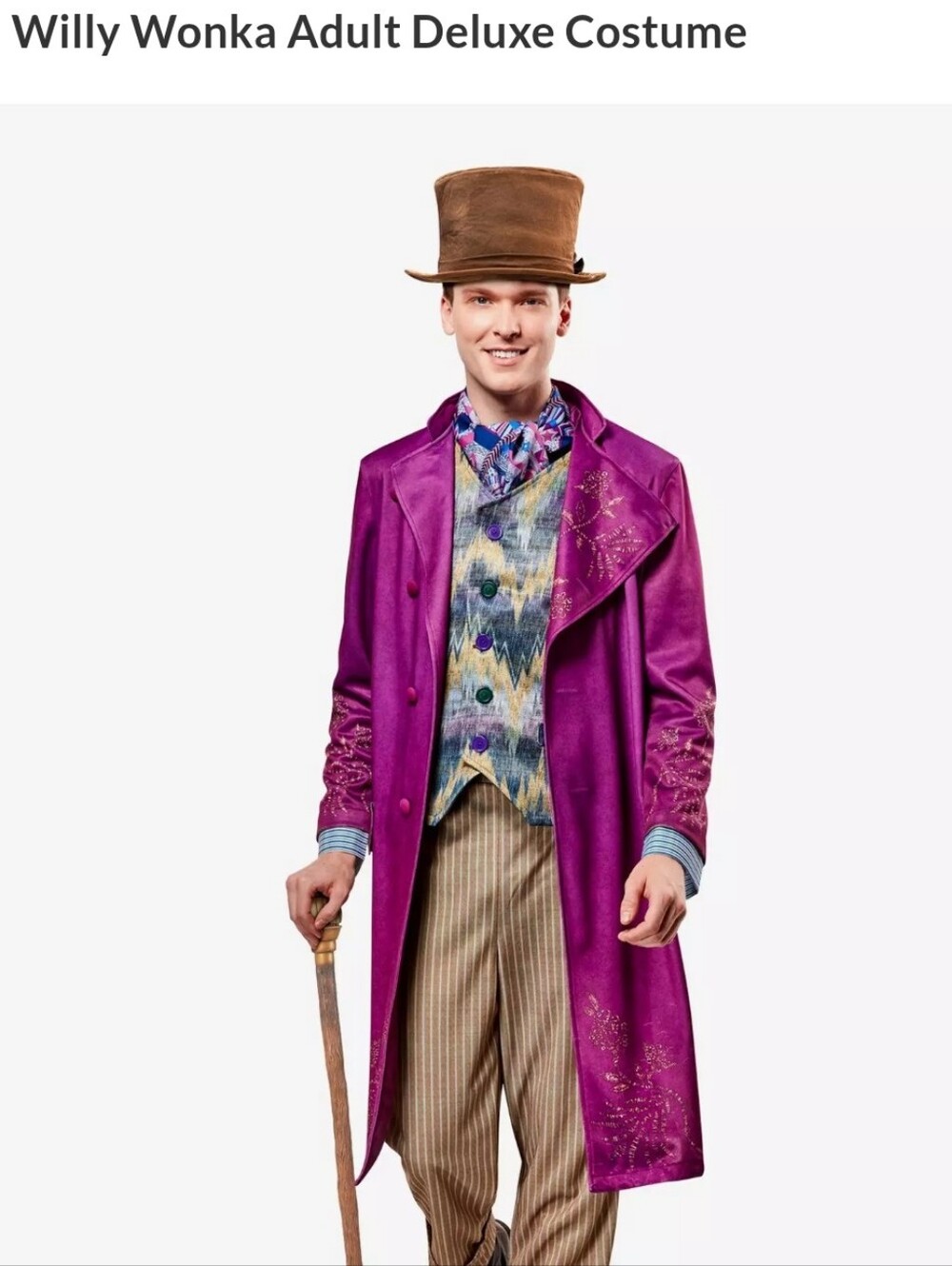 Deluxe Wonka Costume - Timothee Chamalet Version